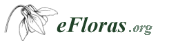 Link to www.efloras.org home