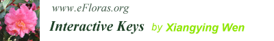 Link to Interactive Keys by Xiangying Wen home